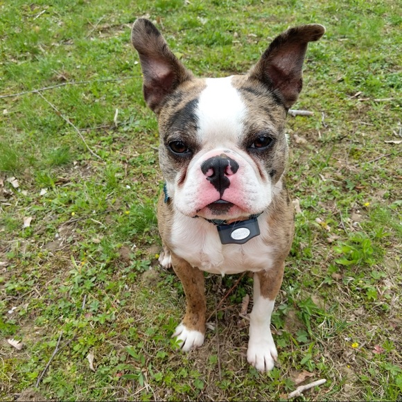 Meet your Posher, Brendan - Picture 1 of 1